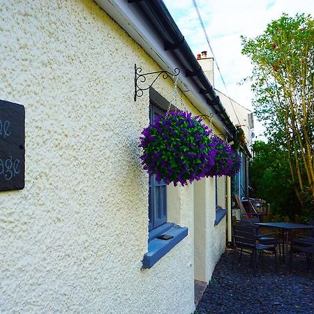 Staycation At Pine Cottage, A Newly Refurbished Holiday Cottage Goodwick Экстерьер фото